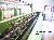G+W Balling Machines, 1984/1985, type 206, 20 spindles,